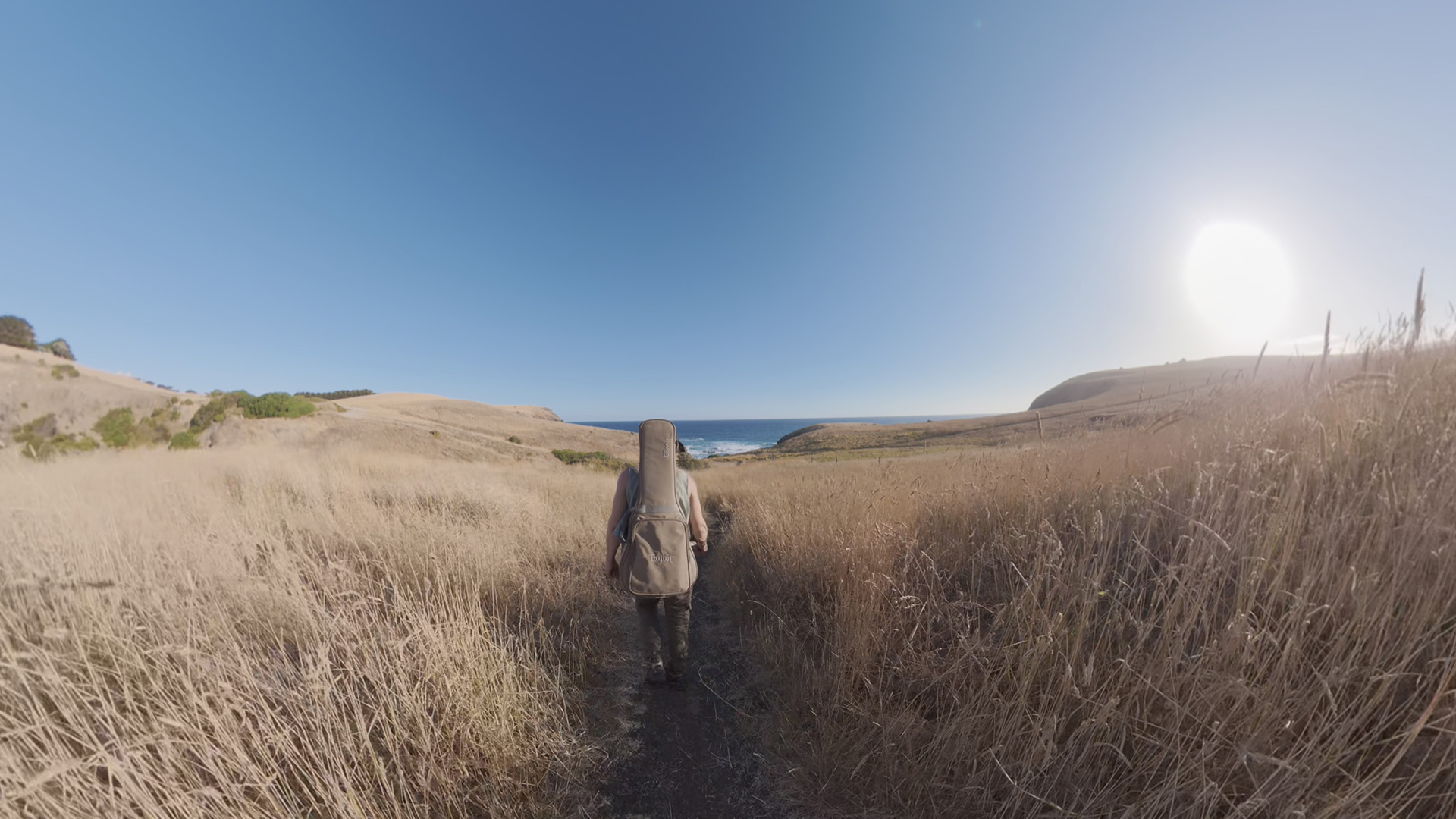 Before — flat DLOG M